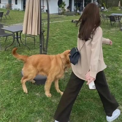 疯狂的契约